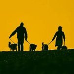 Hundeschule social walk header