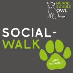 Social Walks